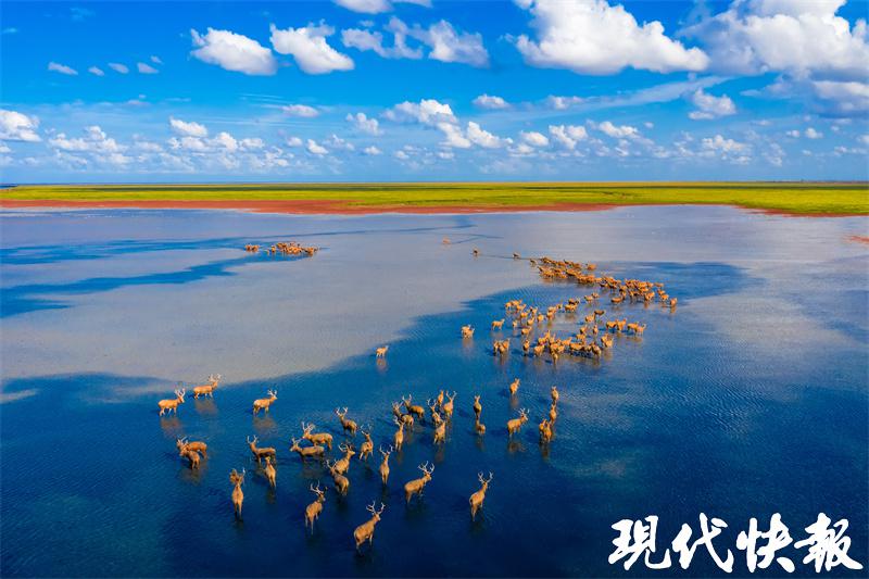 观察丨站上江苏第一等次，“大块头”盐城何以成为“优等生”