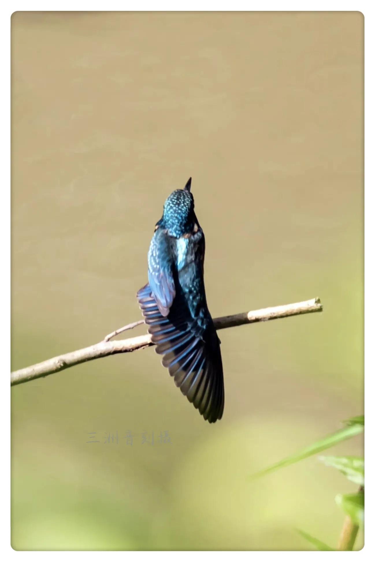 上海市嘉定区安亭国际汽车城,上海嘉定安亭国际汽车城