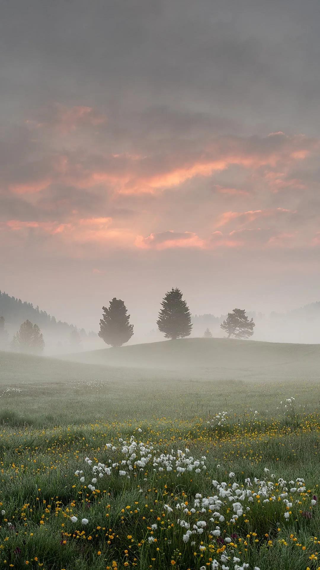 *今条头日**极速版搜索：大杰取图,进入输入口令:68686868拿高清原图