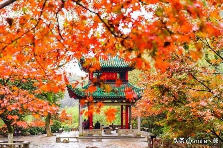 长沙游玩景点推荐亲子游,长沙星城好玩的地方