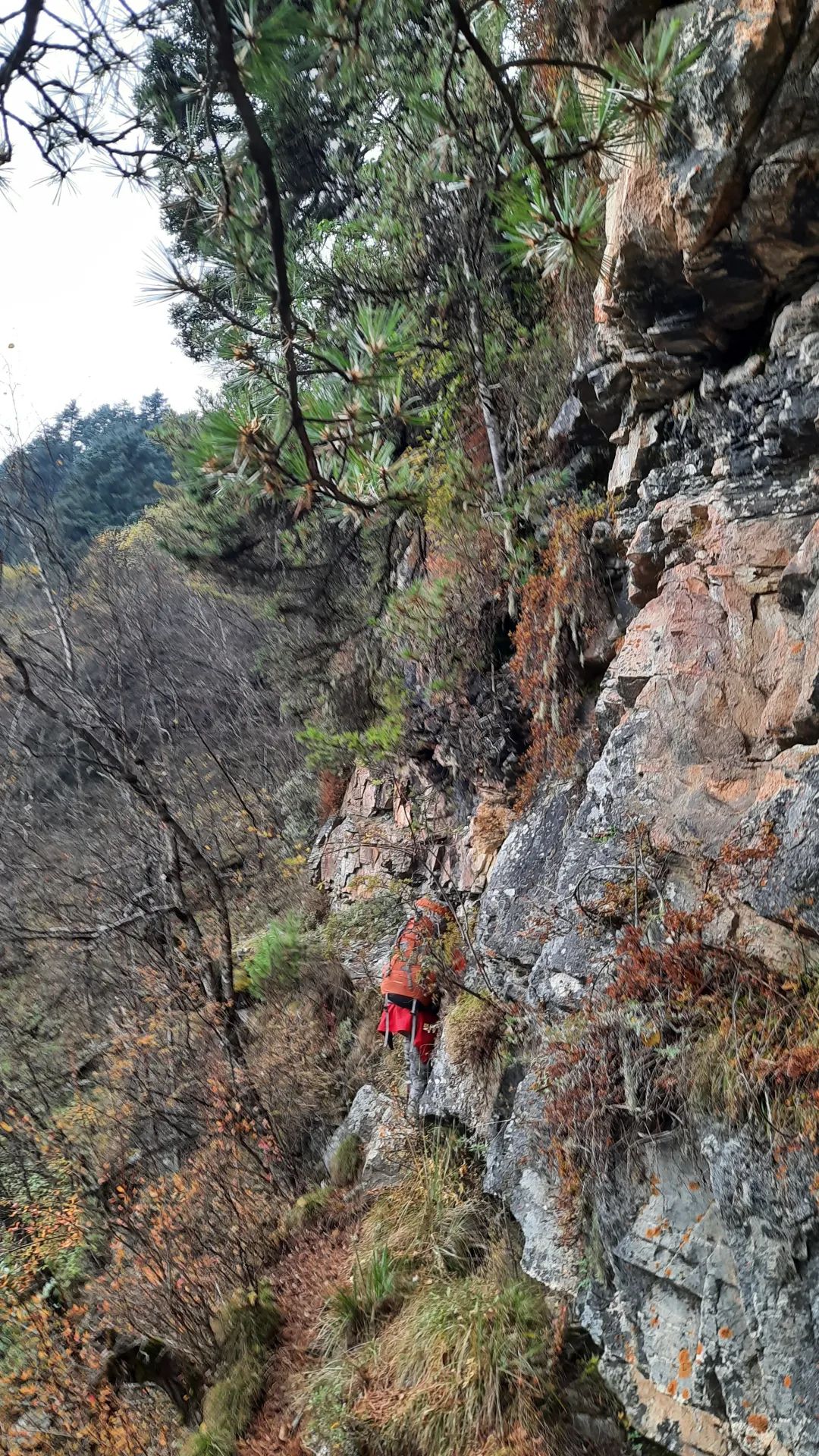 太白山是陕西最高点吗,秦岭最高峰太白山