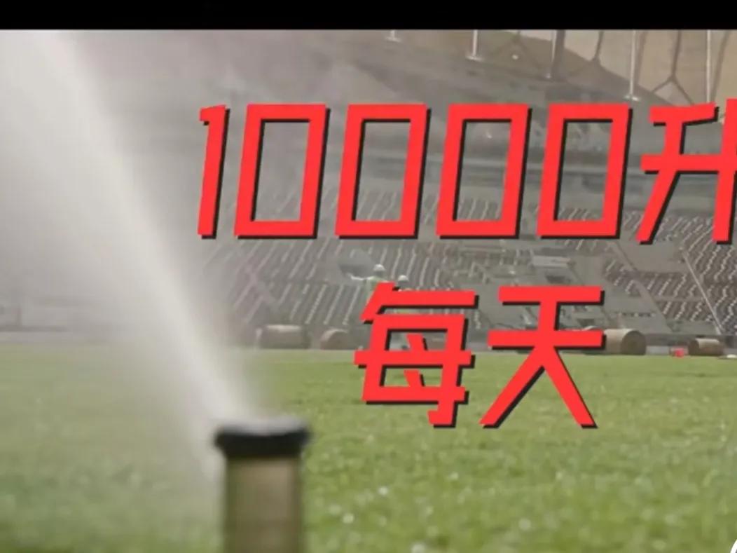 壕无人性的壕,壕无人性的中东土豪