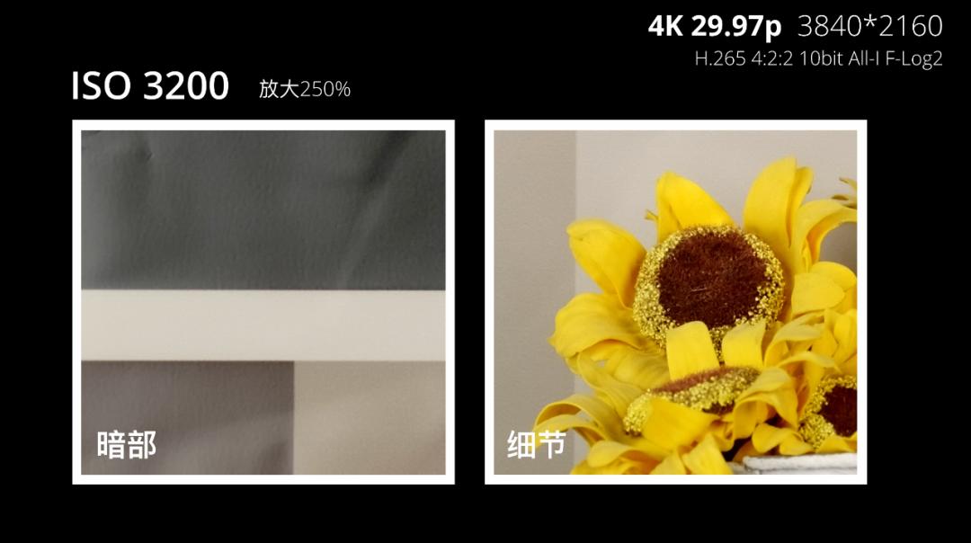 富士x-s20高感测评,富士x-s20几画幅