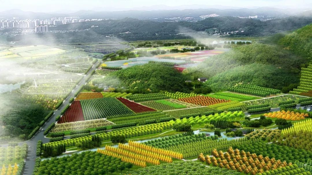 农业营销策略分析,农业品牌的营销策略