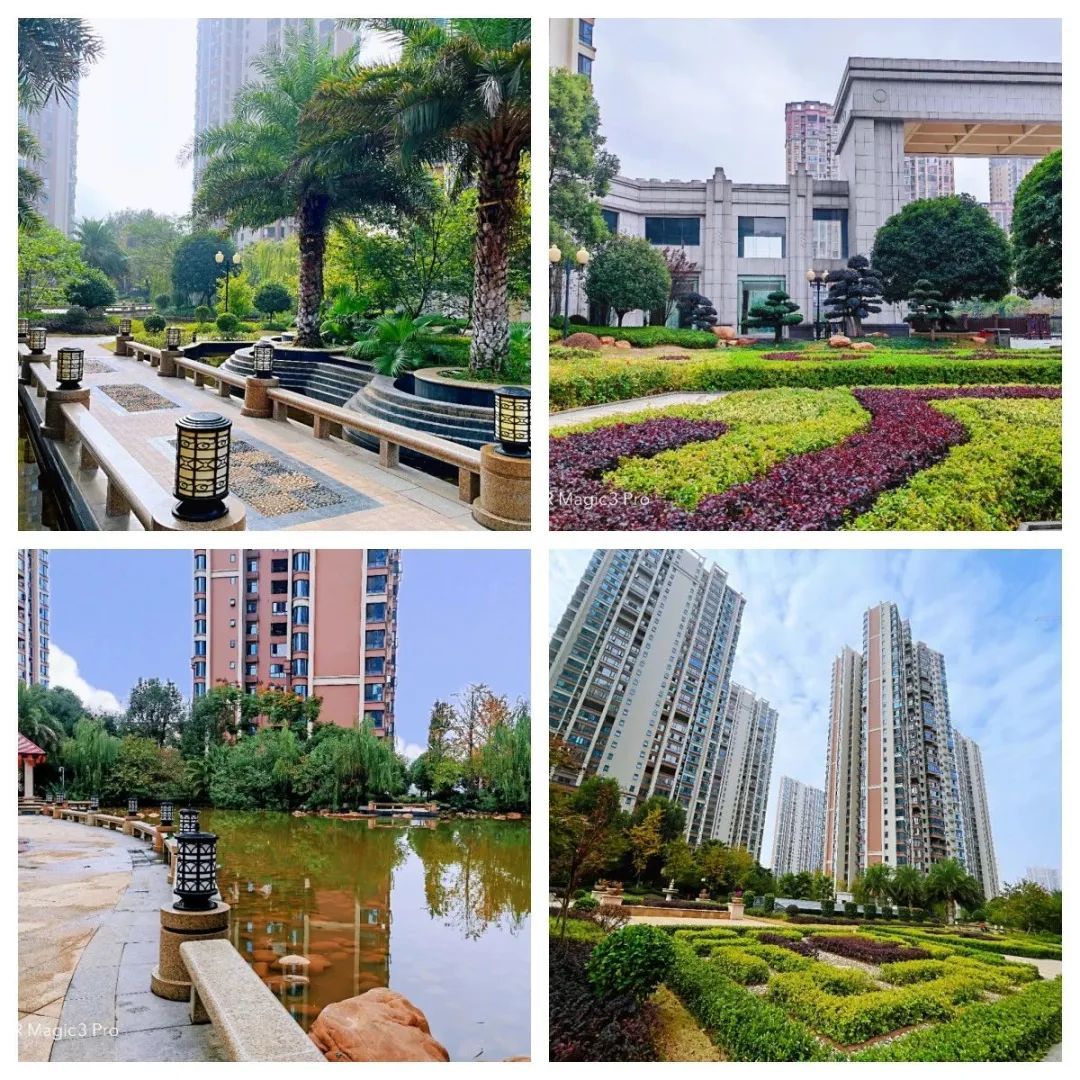 郴州爱莲湖星湖湾楼王,大师兄说楼市