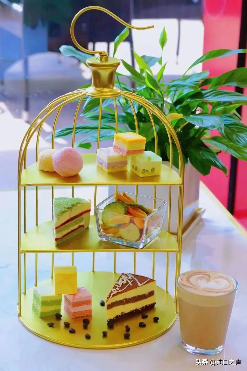 武汉沌口体育中心端午活动,沌口体育中心元宵节活动