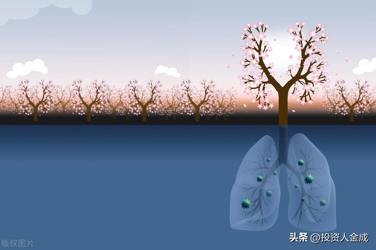 苏宁易购能成为千亿美元市值吗,苏宁市值为什么这么高