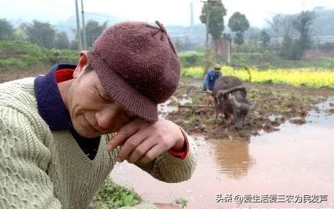 再问专家：农村这么多不合理问题，到底谁来管管？（2）