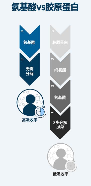 nutrakos胶原蛋白,nutraorganics胶原蛋白肽