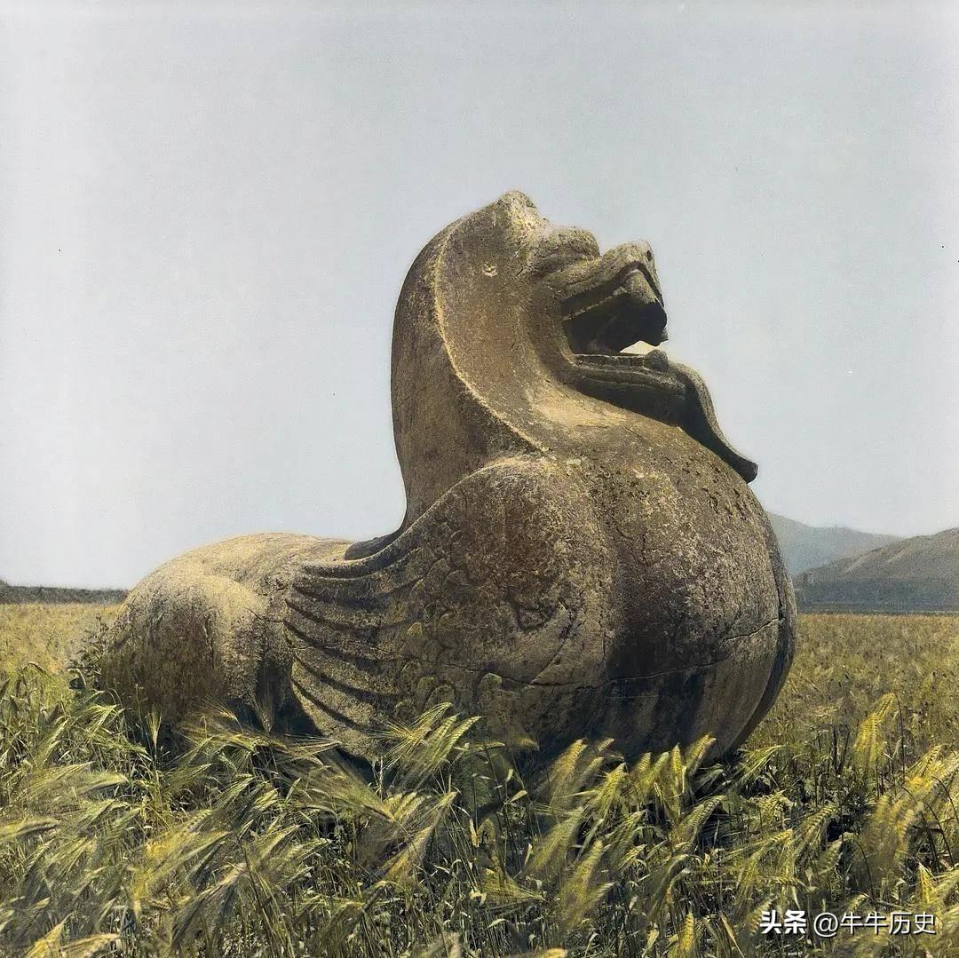 侵华暴行老照片,侵华旧影像