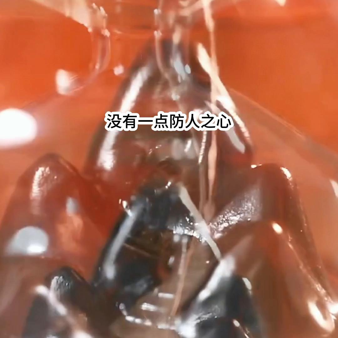 文荒推荐,文荒推文女生必看