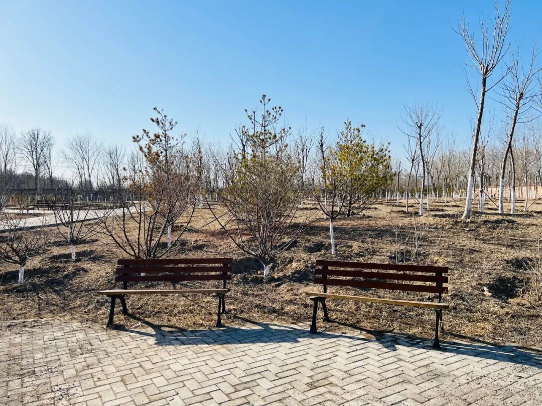 昌平最新腾退消息,昌平区城中村最新腾退消息