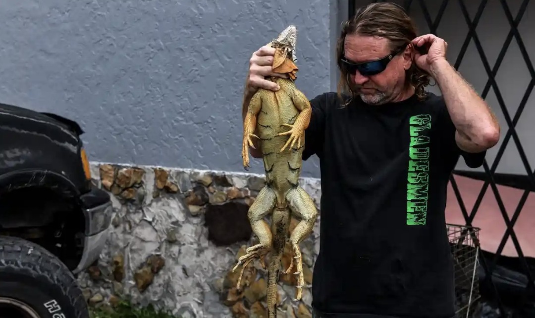 太惊悚！厕所传来怪异嘶嘶声，美国老哥掀开马桶盖，差点灵魂出窍