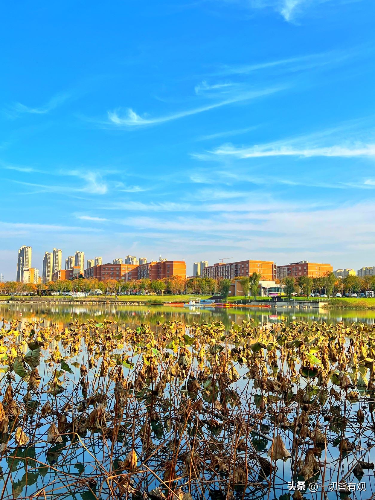 九龙湖骑行路书,九龙湖徒步20公里