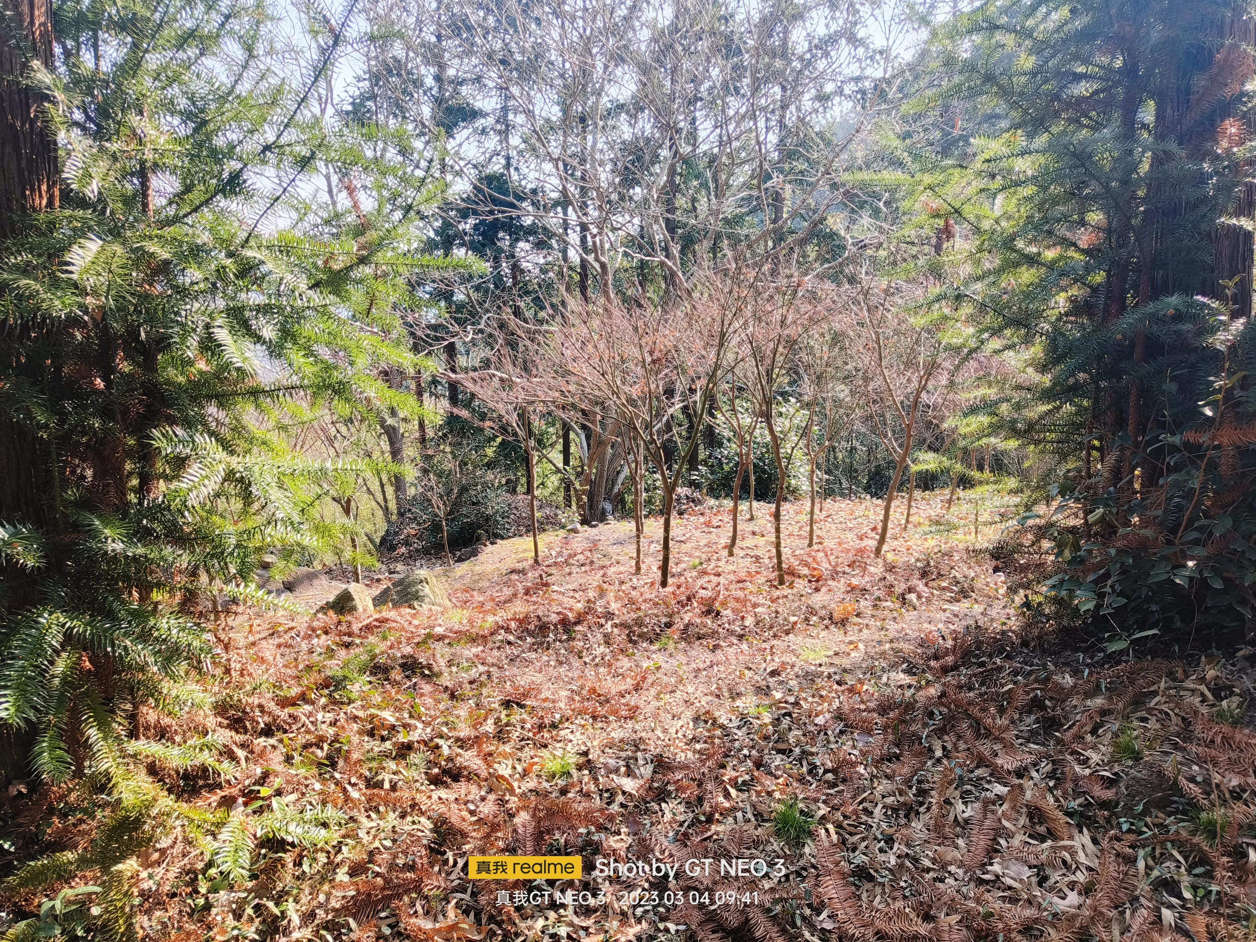 宁波五龙潭攻略,宁波五龙潭湖