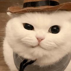 麦当劳早餐板烧鸡腿堡测评,麦当劳定制板烧鸡腿堡