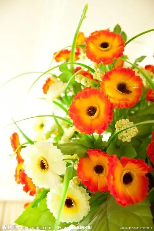 闺蜜小说知乎,闺蜜小说免费阅读