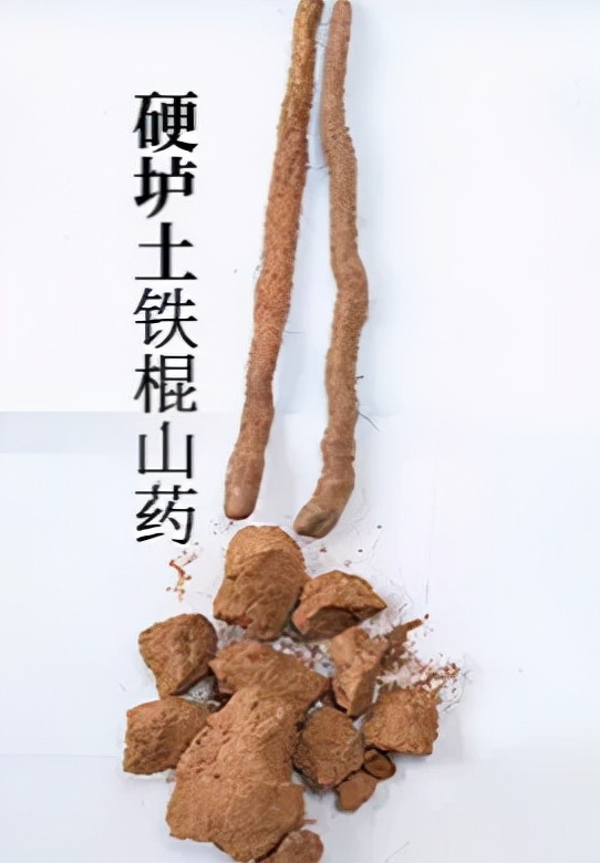 新鲜山药滋补养生,山药养生必备