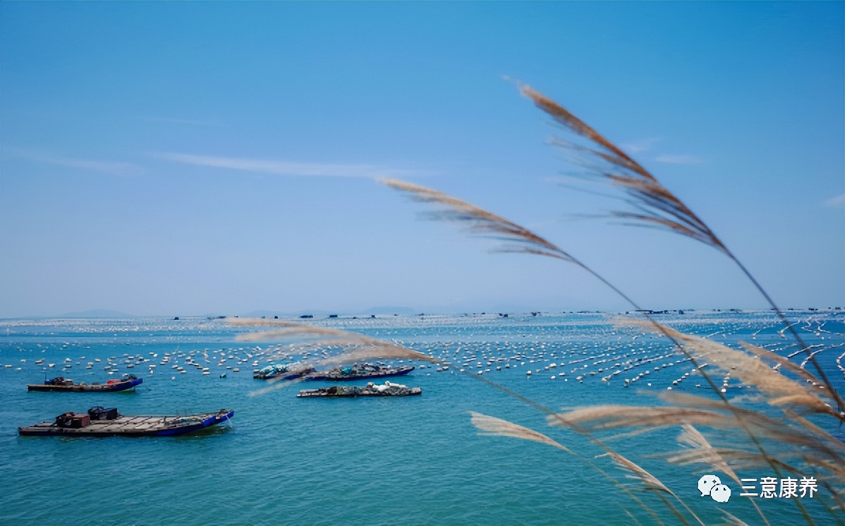 南澳岛二日一夜游攻略 (南澳岛两天一夜游攻略)