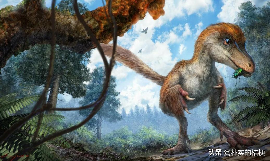 恐龙犯下的错误,恐龙错误代码