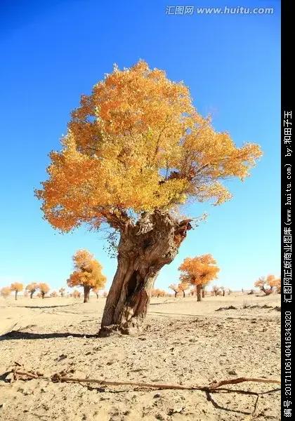 对未来商业模式的解读,未来的商业模式是什么样