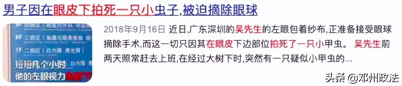 男子拍了一只飞虫导致眼球摘除,近视1000度被迫摘除眼球