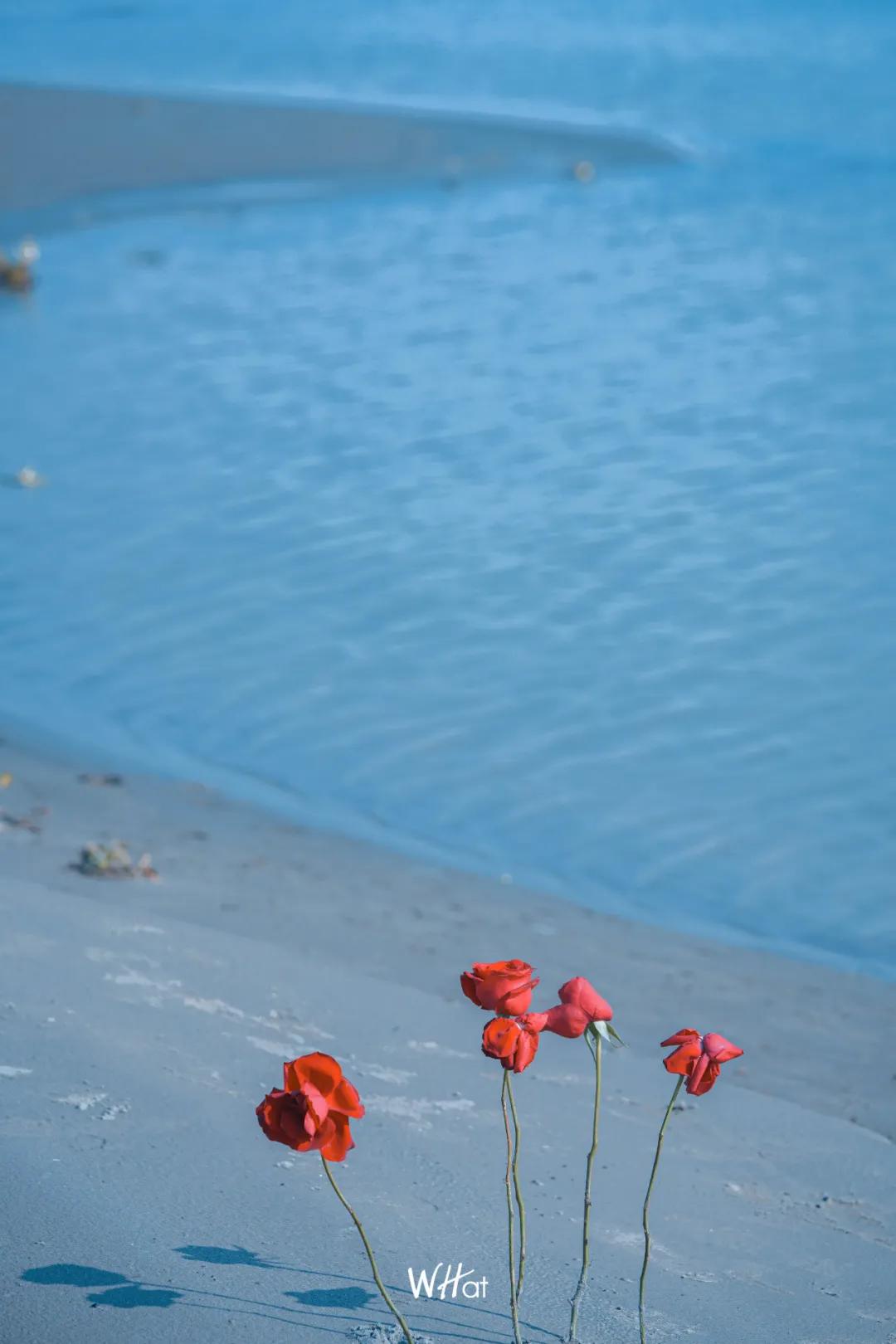 武汉人的冬天专属指南,武汉人的冬天为什么那么冷