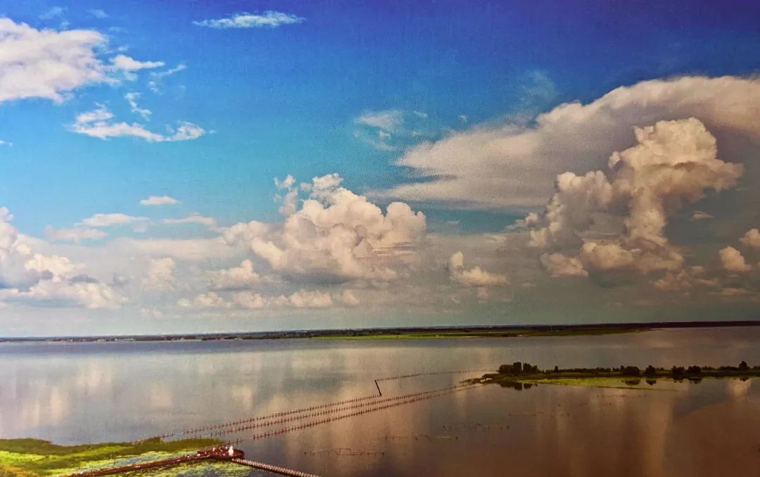 乡村产业发展的特征、规律和路径（深度阅读）