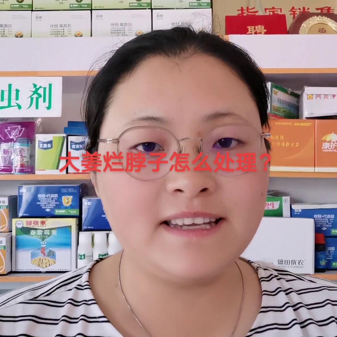 农资人的日常,农资人励志的句子