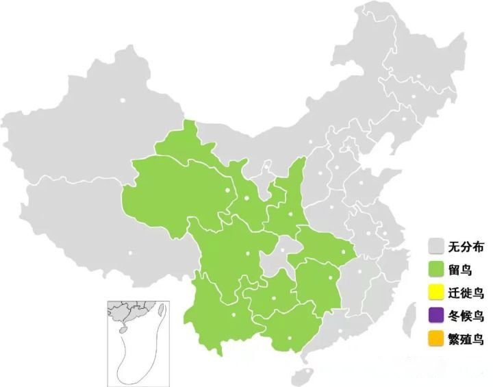 上山捡了野鸡蛋,山上捡的野鸡蛋孵出来能活吗