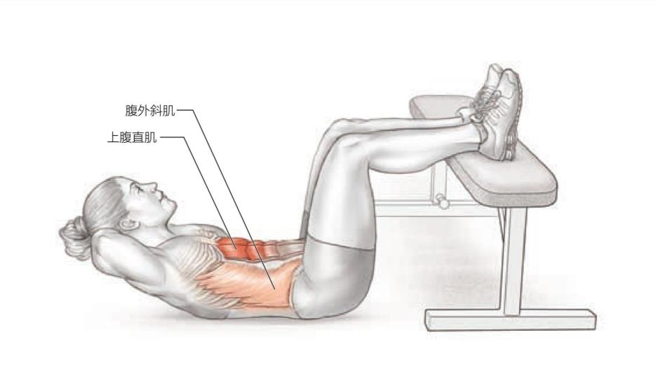 一天就能练出腹肌马甲线的动作,腹肌马甲线练习最佳时间与动作