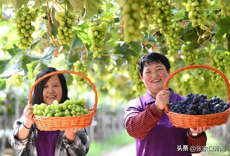 喜迎二十大奋进新征程,二十大奋力写好新时代赶考答卷