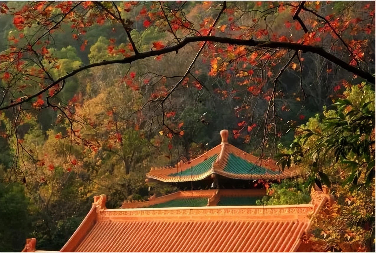 广州台山那琴半岛两日游,台山一日游必去景点牛山公园