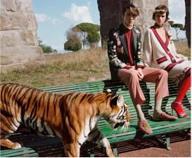 意大利服装设计学院naba,意大利服装设计研究生留学哪里好