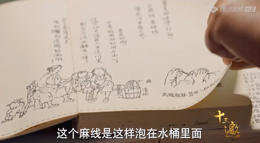 一集飙升9.5分，最惦记的国产良心回来了！