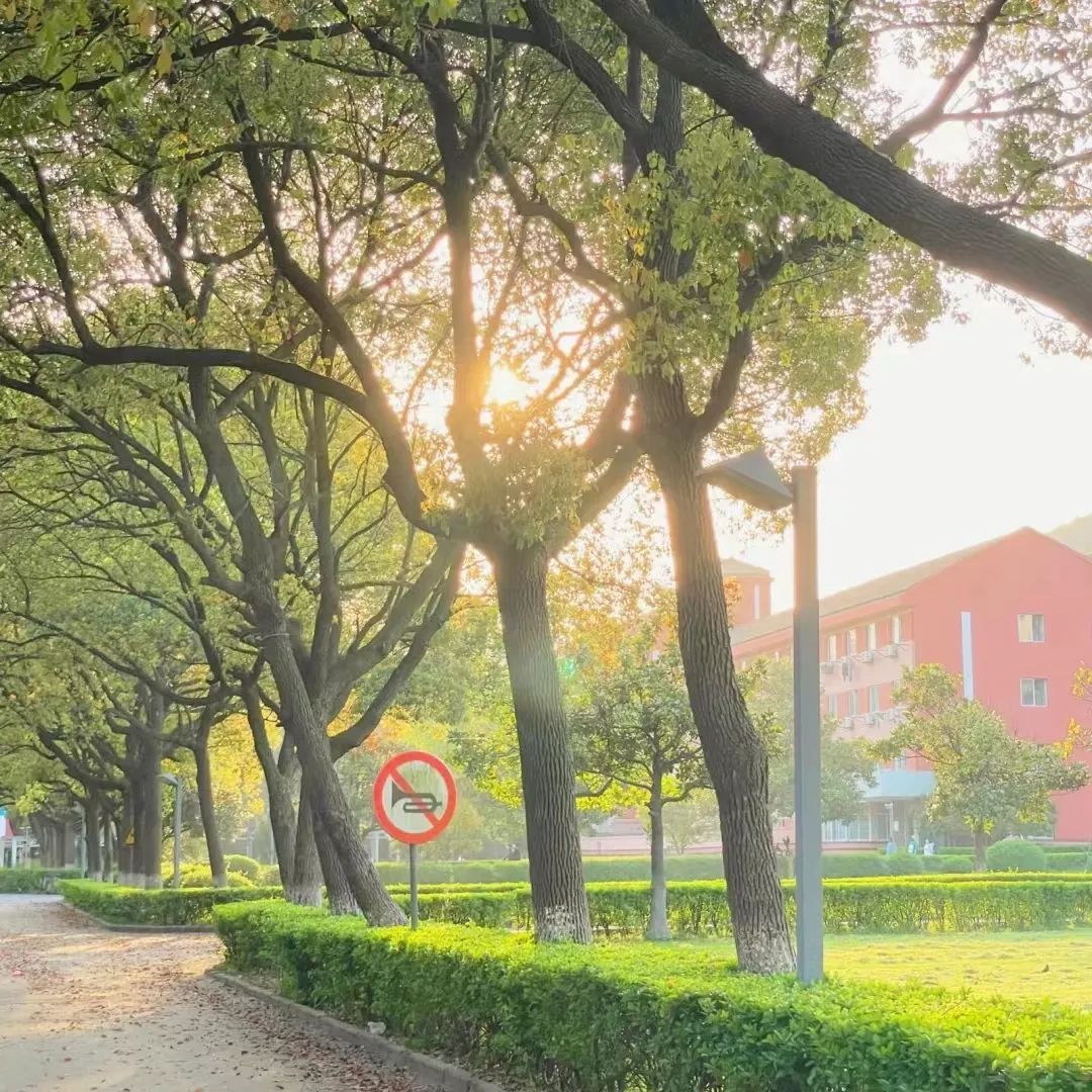 森林中的大学——无锡太湖学院：很高兴认识你