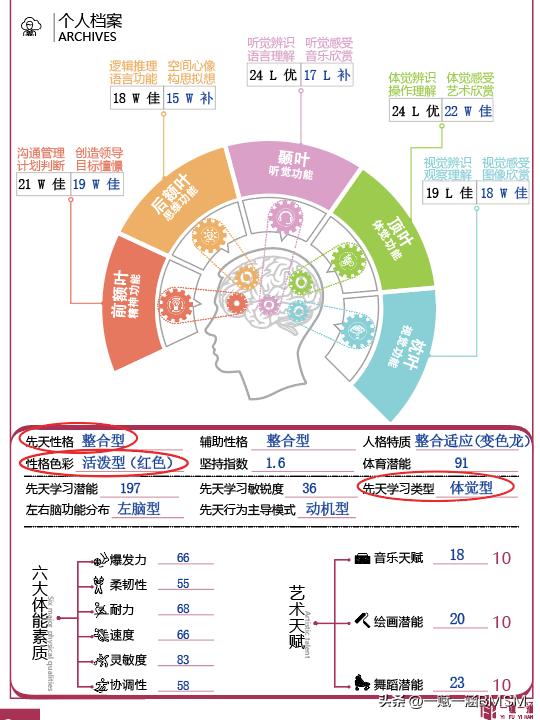 【一赋一涵BMSM天赋测评】性格色彩特点深度解析