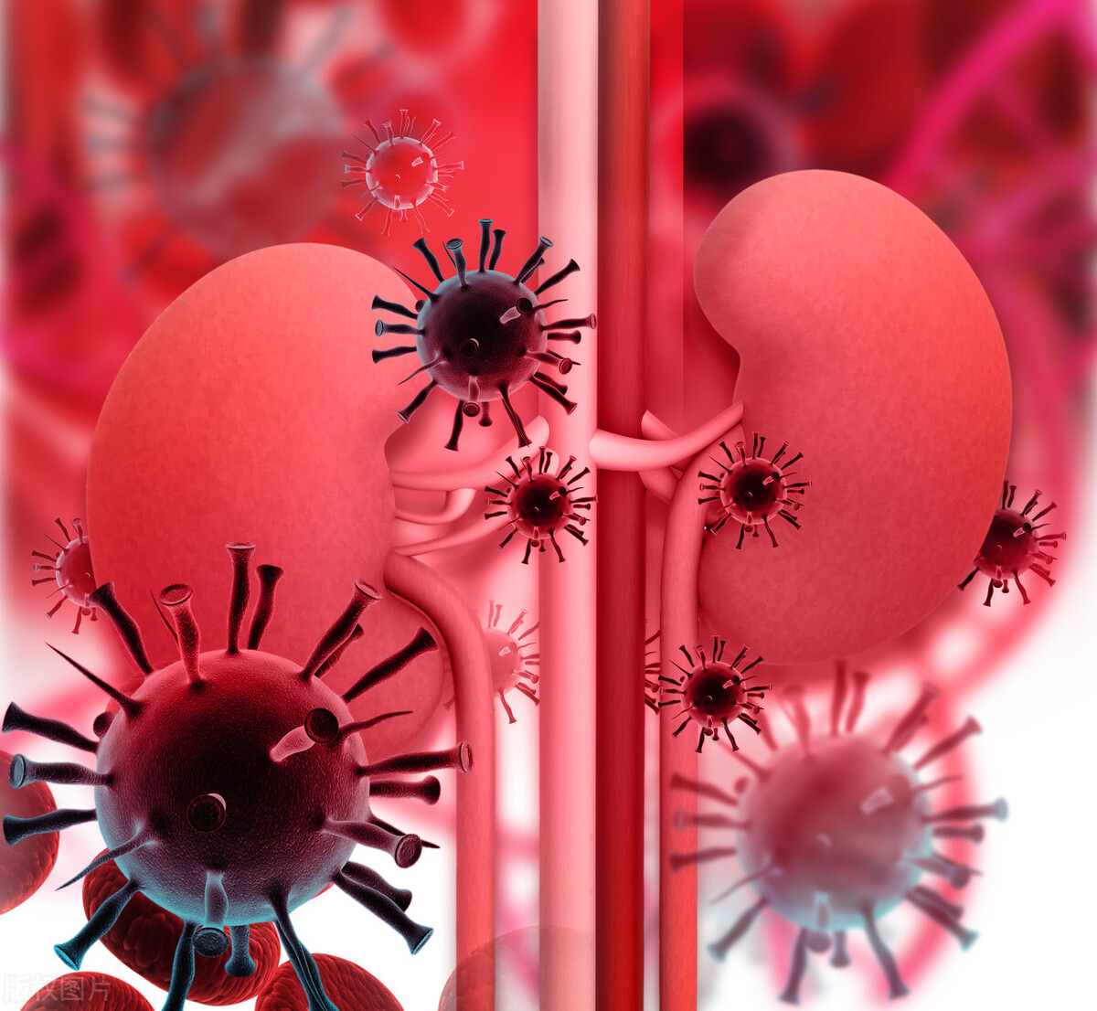 男性泌尿道感染怎么治,老年男性泌尿系感染应该注意什么