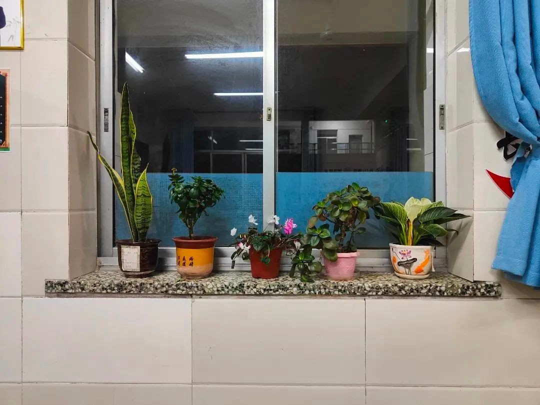 《班级公约》晒出来，班级风采秀出来——实验中学八7中队