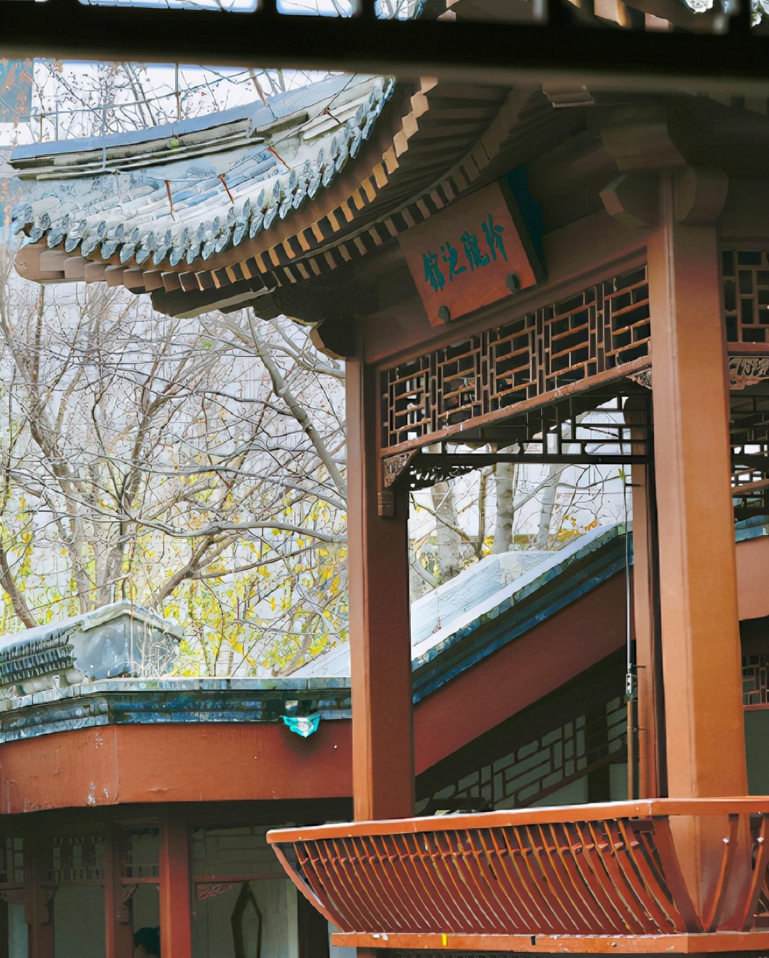 北京植物园的赏花的最好时节,西山秘境惊艳北京的植物