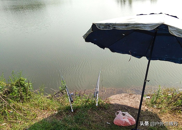 钻竿包、摩托车、汽车！蛇，为何“独爱”钓鱼人？