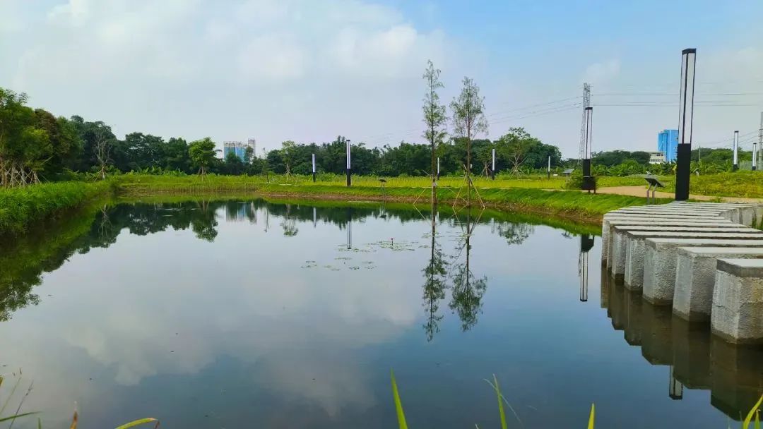 肇庆最美公园,大美广东肇庆风景区