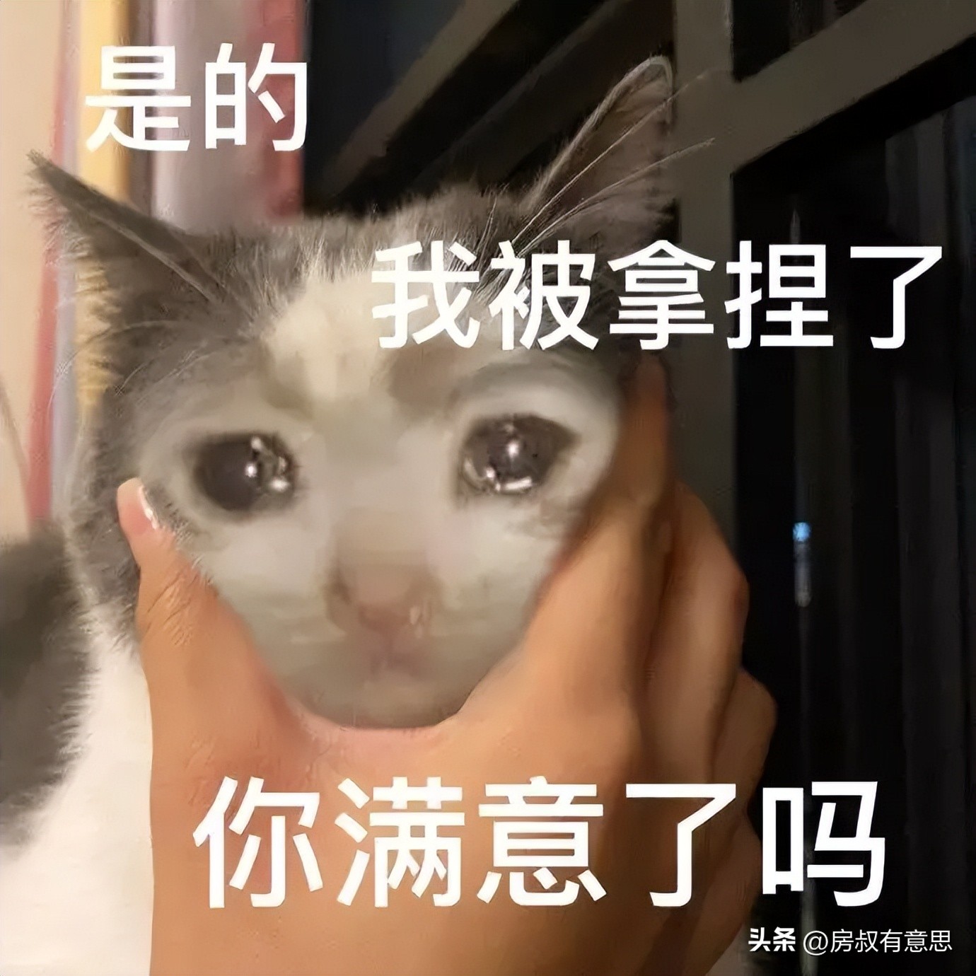 世界杯竞猜多少人倾家荡产,世界杯竞猜2-3球是怎么回事