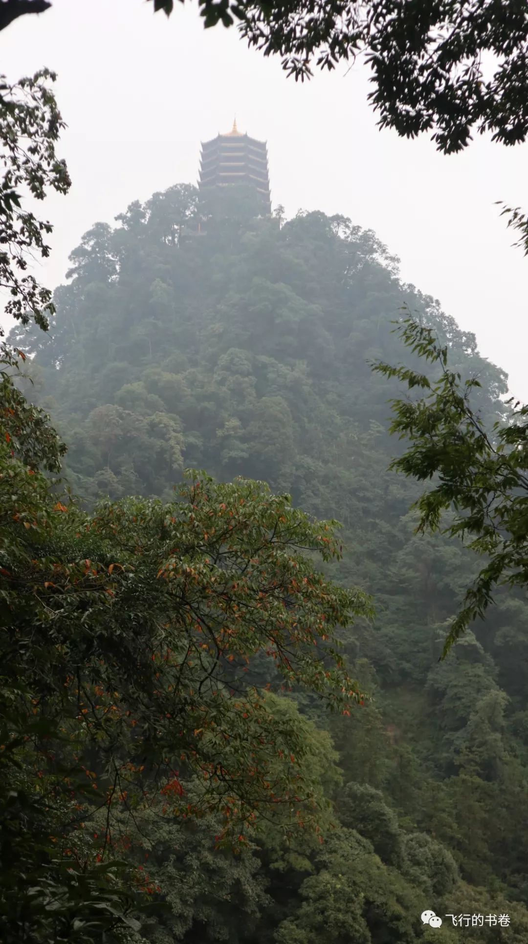 道教四大仙山你爬过几座,青城山为什么被称作道教第一山