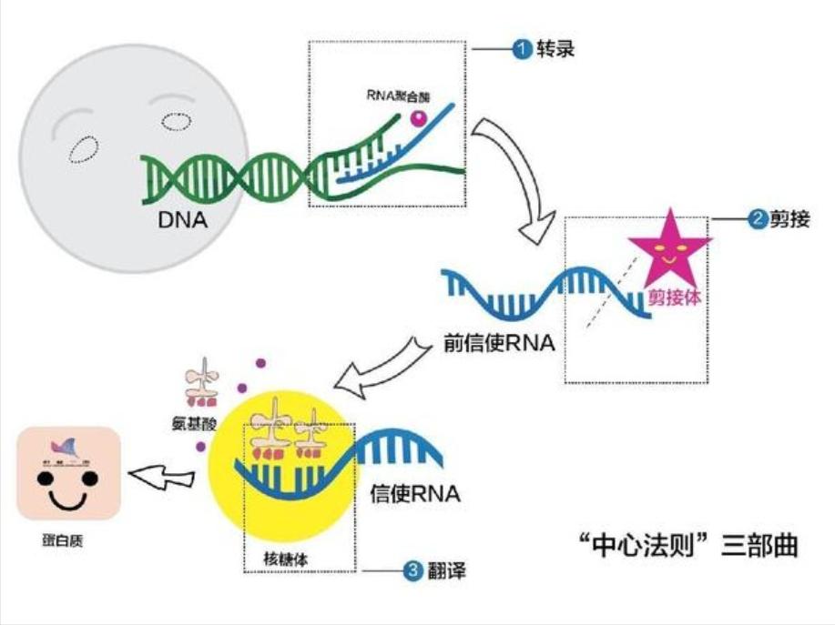 陨石降临地球开启了基因进化之旅,人类进化与外星陨石