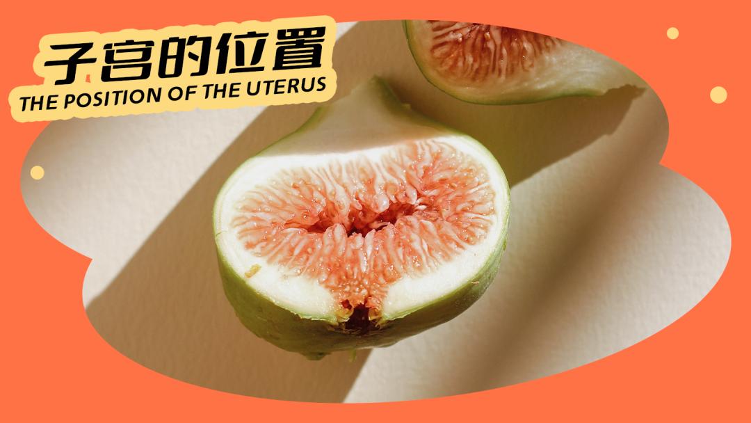 子宫后位会造成痛经吗,子宫后位趴着睡能矫正吗