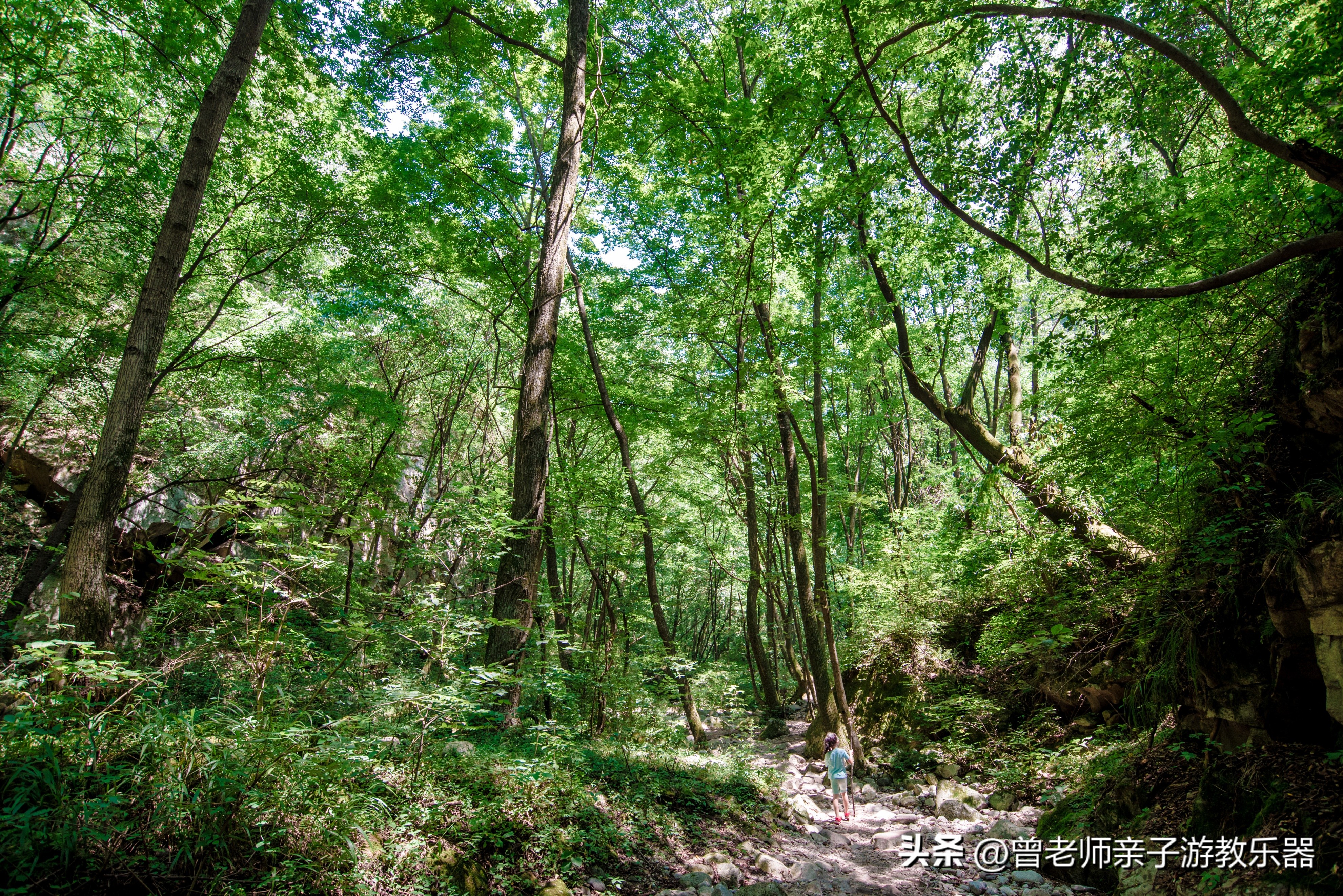 西安秋天野营免费地点,西安秋天露营地免费地点