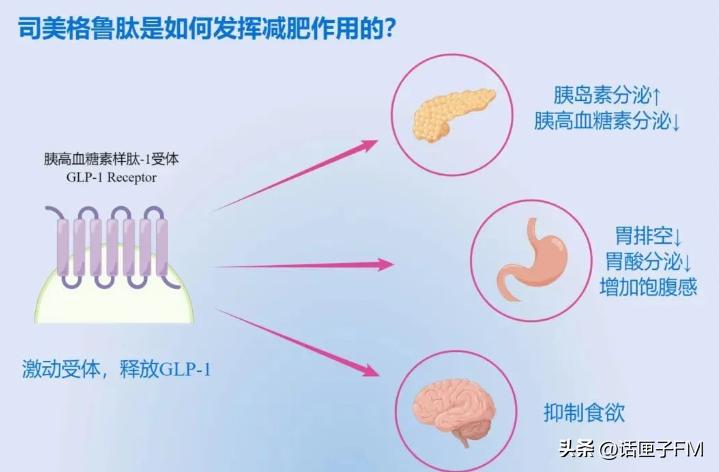 一周打一次的降糖针减肥,减肥针打了就能瘦吗