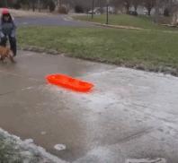 宏光mini买新车还是二手车,宏光miniev二手车