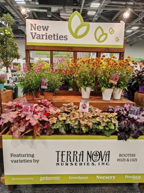 美国最大的农业产品展会,美国最顶级盆景展